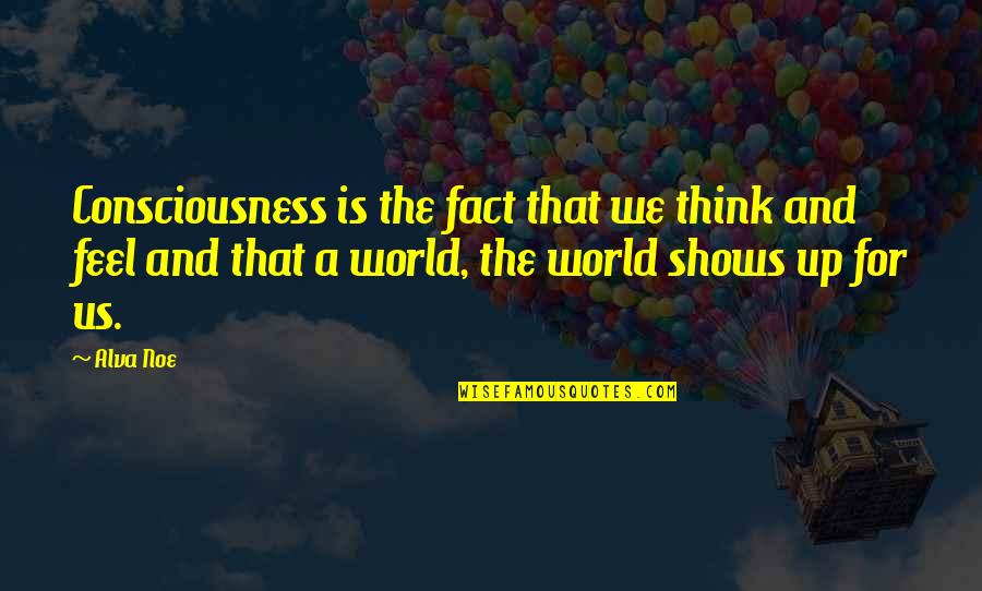 Higiro Robert Quotes By Alva Noe: Consciousness is the fact that we think and