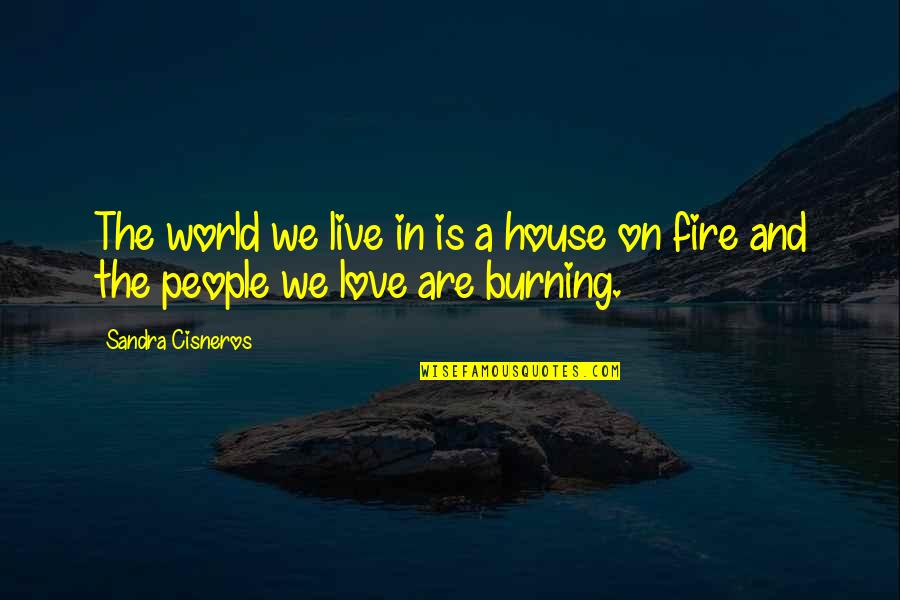 Hilferty And Associates Quotes By Sandra Cisneros: The world we live in is a house