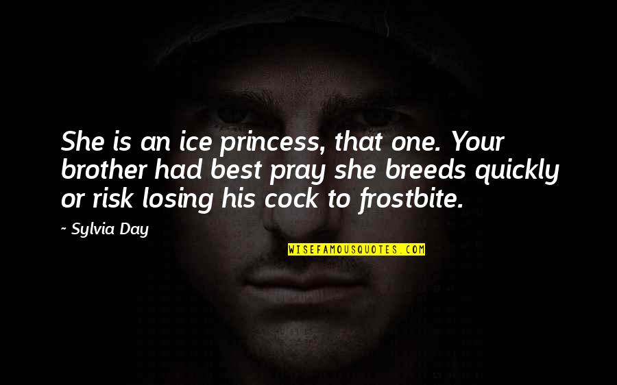 His Princess Quotes By Sylvia Day: She is an ice princess, that one. Your