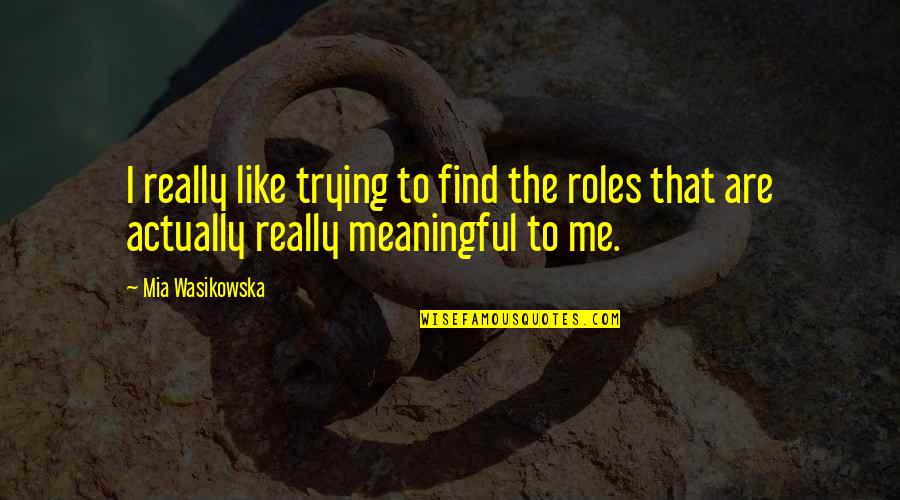 Hitchhikers Brewery Quotes By Mia Wasikowska: I really like trying to find the roles