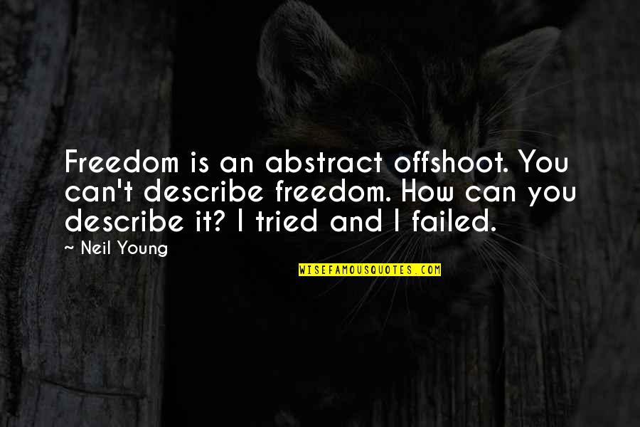 Hobbytown Quotes By Neil Young: Freedom is an abstract offshoot. You can't describe