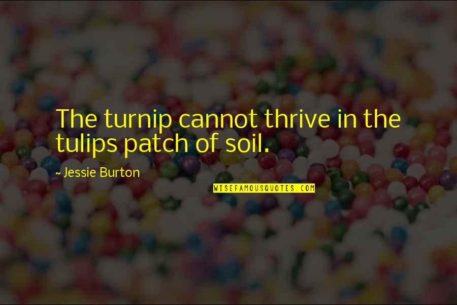 Hoc Season 3 Quotes By Jessie Burton: The turnip cannot thrive in the tulips patch