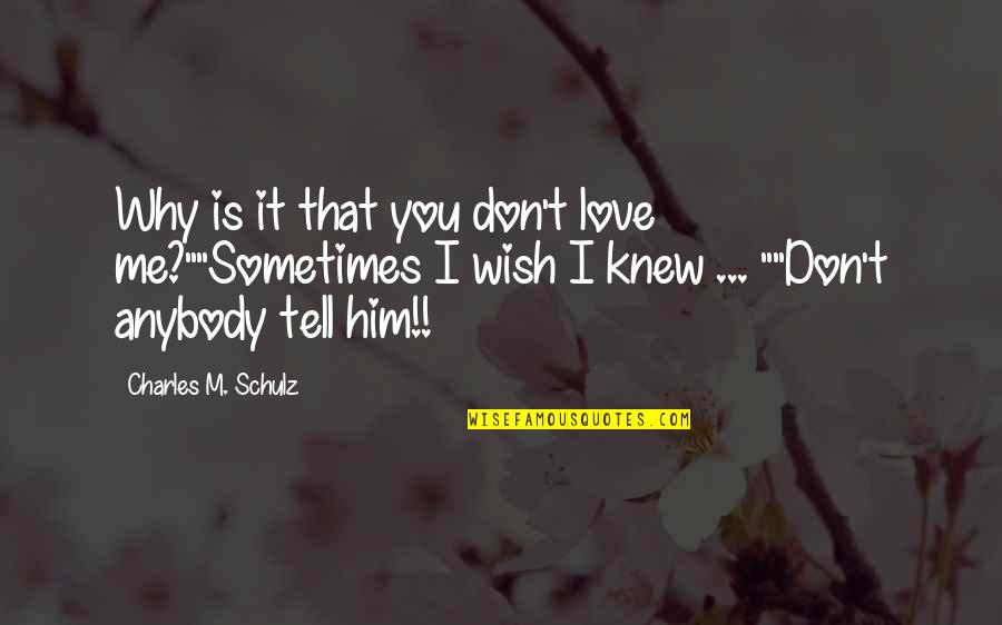 Hochmeister Sibiu Quotes By Charles M. Schulz: Why is it that you don't love me?""Sometimes