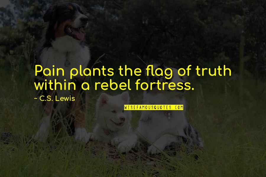 Hodja Inn Quotes By C.S. Lewis: Pain plants the flag of truth within a