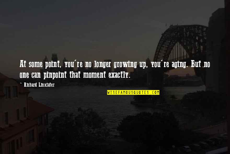 Hogged Quotes By Richard Linklater: At some point, you're no longer growing up,