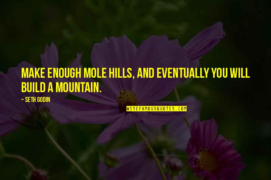 Holes In Your Heart Quotes By Seth Godin: Make enough mole hills, and eventually you will