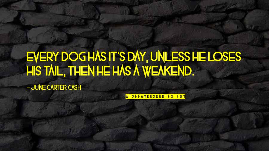 Honeyeater Species Quotes By June Carter Cash: Every dog has it's day, unless he loses
