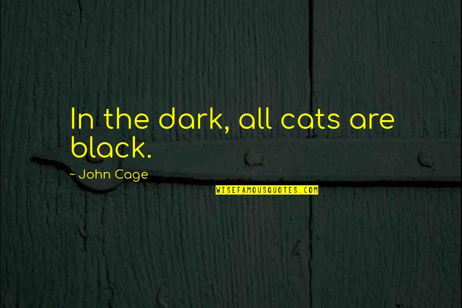 Hoogstraat Oedelem Quotes By John Cage: In the dark, all cats are black.