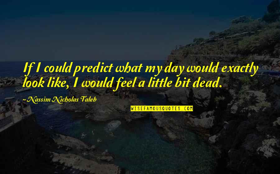 Hooking Up With An Ex Quotes By Nassim Nicholas Taleb: If I could predict what my day would