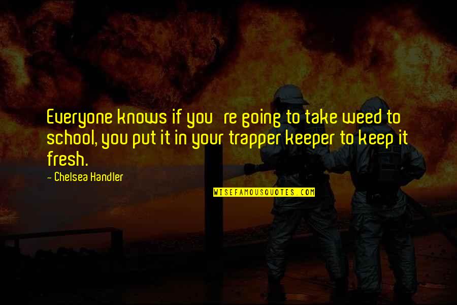 Hope That You Are Doing Well Quotes By Chelsea Handler: Everyone knows if you're going to take weed