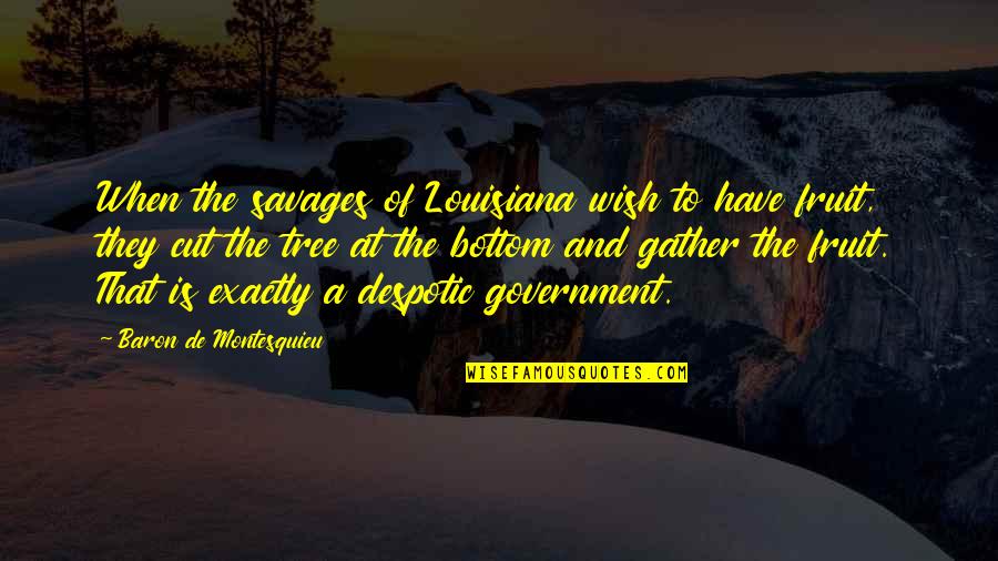 Horniness Meme Quotes By Baron De Montesquieu: When the savages of Louisiana wish to have