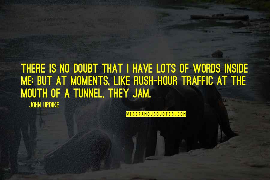 Hour At Quotes By John Updike: There is no doubt that I have lots