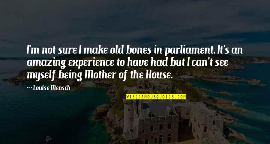 House Of Being Quotes By Louise Mensch: I'm not sure I make old bones in