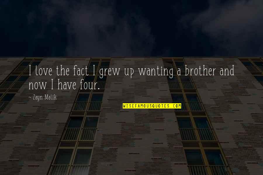 Howery Howies Quotes By Zayn Malik: I love the fact I grew up wanting