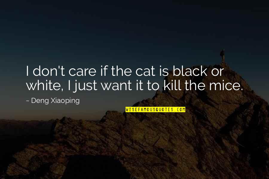 Hugging Someone Quotes By Deng Xiaoping: I don't care if the cat is black