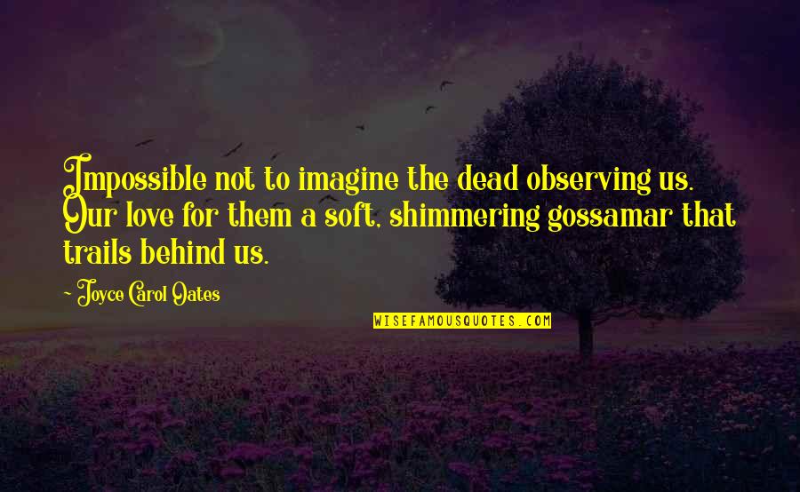 Hugosway Quotes By Joyce Carol Oates: Impossible not to imagine the dead observing us.