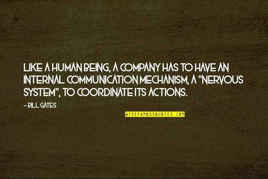 Human Action Quotes By Bill Gates: Like a human being, a company has to