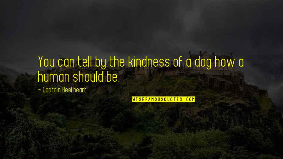 Human Dog Quotes By Captain Beefheart: You can tell by the kindness of a