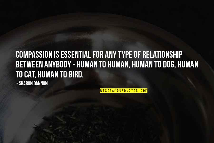 Human Dog Quotes By Sharon Gannon: Compassion is essential for any type of relationship