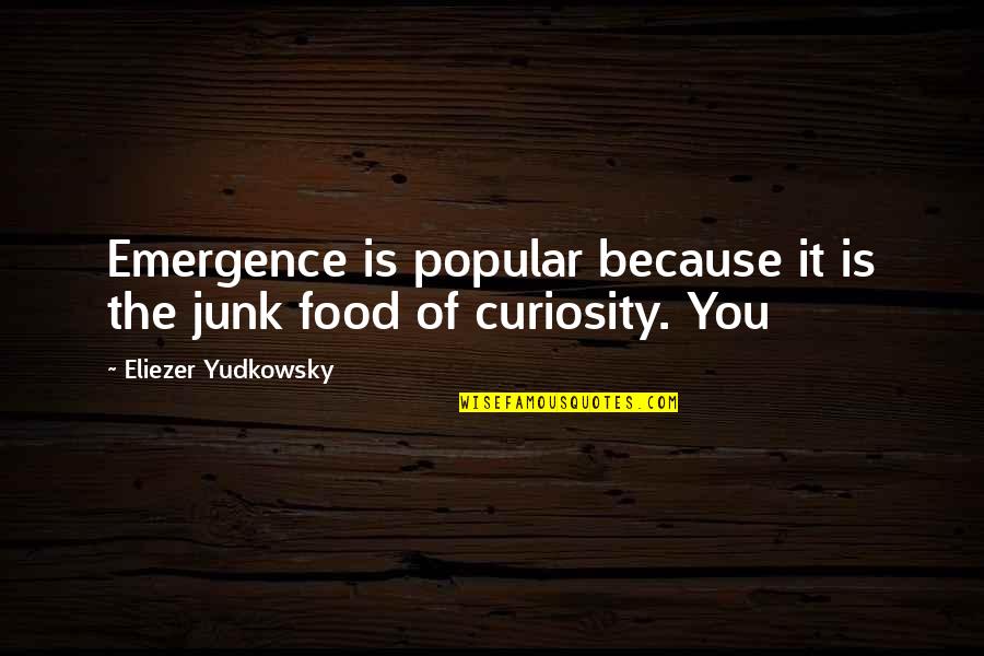 Human Misconceptions Quotes By Eliezer Yudkowsky: Emergence is popular because it is the junk