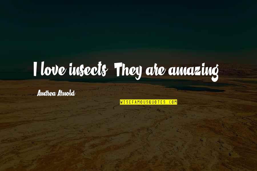 Humanismus Deutsch Quotes By Andrea Arnold: I love insects. They are amazing.