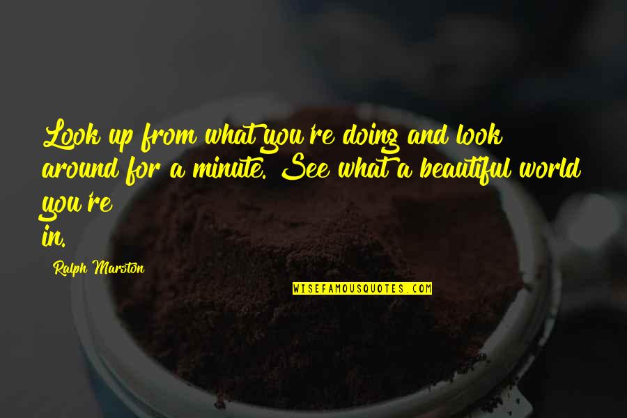 Humans Are More Dangerous Than Animals Quotes By Ralph Marston: Look up from what you're doing and look