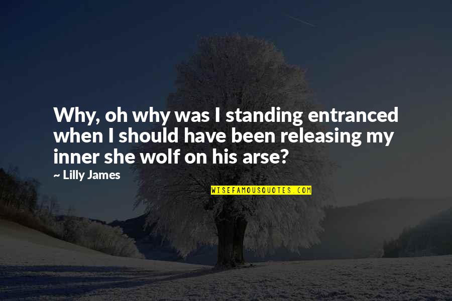 Humorous Fiction Quotes By Lilly James: Why, oh why was I standing entranced when