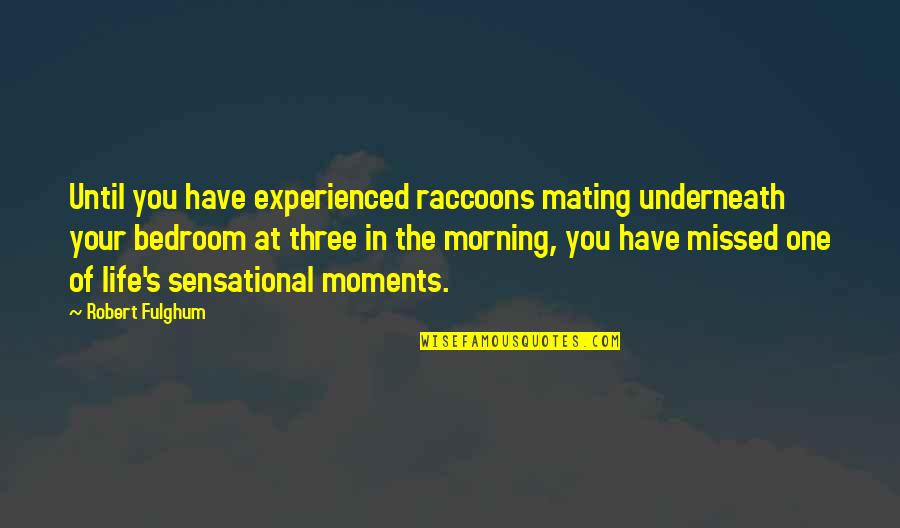 Humorous Morning Quotes By Robert Fulghum: Until you have experienced raccoons mating underneath your