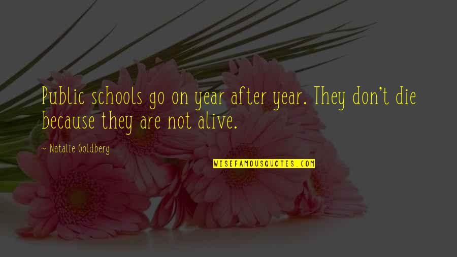 Hunos Tagalog Quotes By Natalie Goldberg: Public schools go on year after year. They