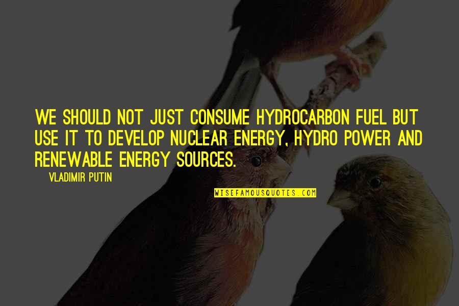 Hydro Energy Quotes By Vladimir Putin: We should not just consume hydrocarbon fuel but