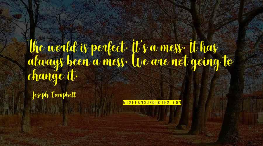 I Always Mess Up Quotes By Joseph Campbell: The world is perfect. It's a mess. It