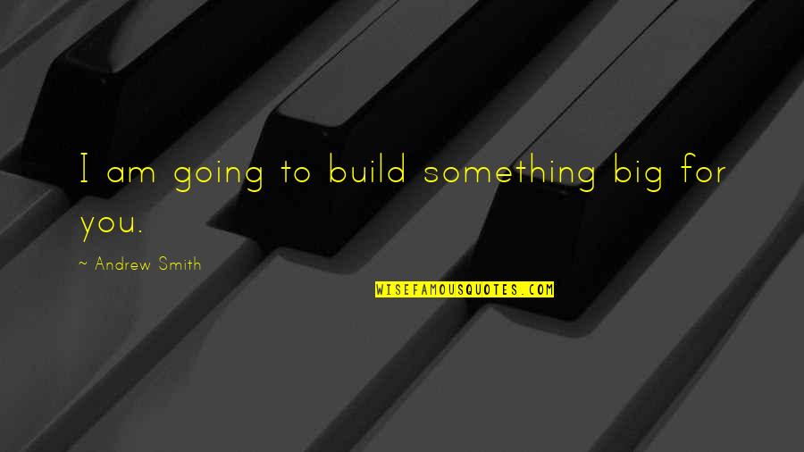 I Am Crazy Quotes By Andrew Smith: I am going to build something big for