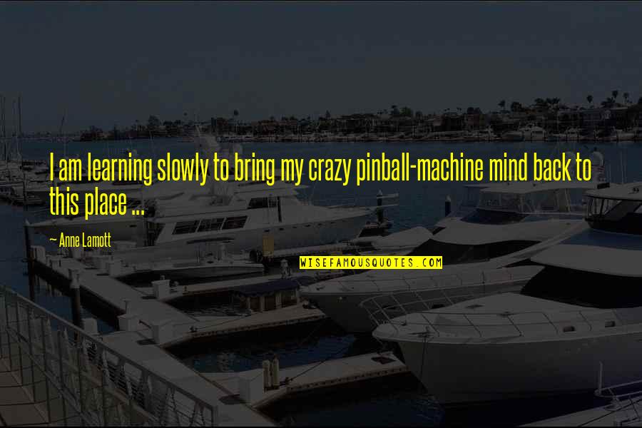 I Am Crazy Quotes By Anne Lamott: I am learning slowly to bring my crazy