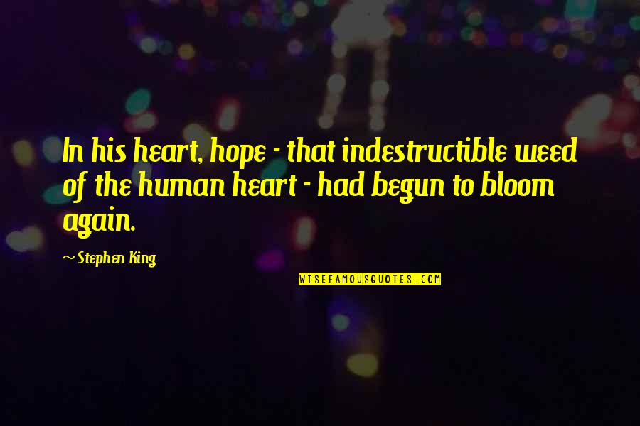 I Am Indestructible Quotes By Stephen King: In his heart, hope - that indestructible weed