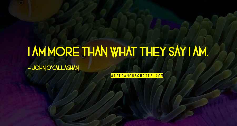 I Am More Than Quotes By John O'Callaghan: I am more than what they say I