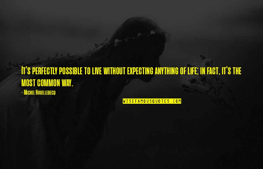 I Am Not Expecting Anything From You Quotes By Michel Houellebecq: It's perfectly possible to live without expecting anything