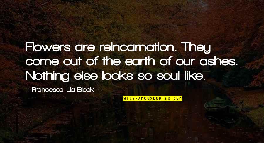 I Am Nothing Like You Quotes By Francesca Lia Block: Flowers are reincarnation. They come out of the