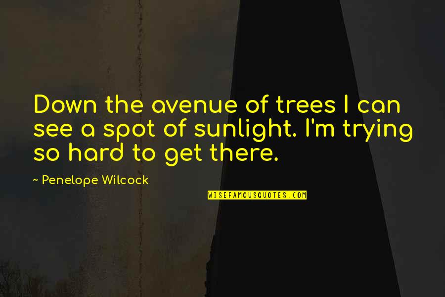 I Am Trying So Hard Quotes By Penelope Wilcock: Down the avenue of trees I can see