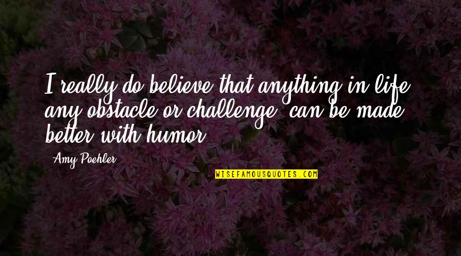 I Believe Life Quotes By Amy Poehler: I really do believe that anything in life,