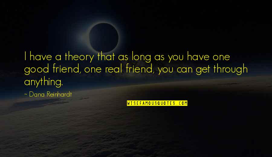 I Can Get Through Quotes By Dana Reinhardt: I have a theory that as long as