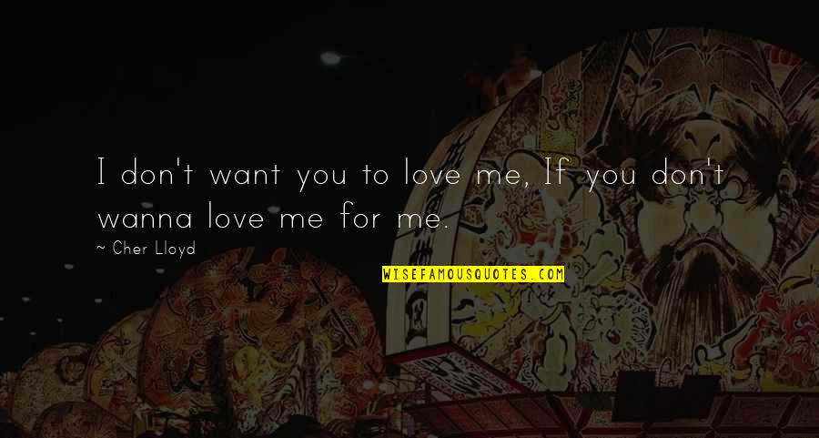 I Don't Want To Love You Quotes By Cher Lloyd: I don't want you to love me, If