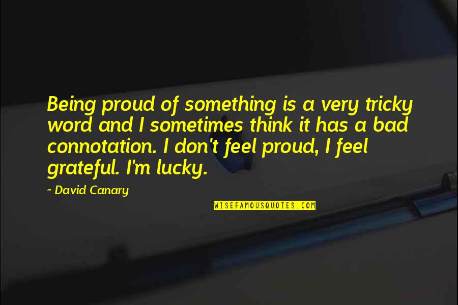 I Feel Very Bad Quotes By David Canary: Being proud of something is a very tricky