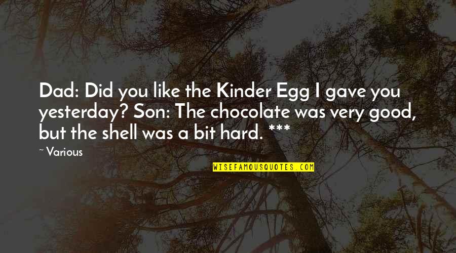 I Gave You My All Quotes By Various: Dad: Did you like the Kinder Egg I