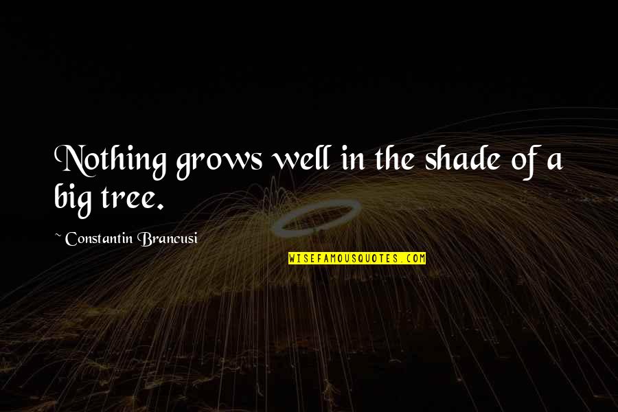 I Hate Hostel Quotes By Constantin Brancusi: Nothing grows well in the shade of a