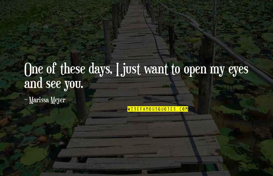 I Just Want To See You Quotes By Marissa Meyer: One of these days, I just want to