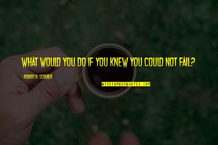 I Knew You Could Do It Quotes By Robert H. Schuller: What would you do if you knew you