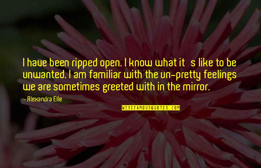 I Know I Am Pretty Quotes By Alexandra Elle: I have been ripped open. I know what