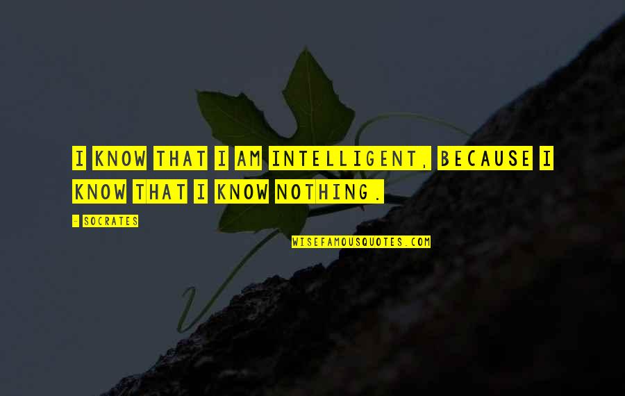 I Know Nothing Quotes By Socrates: I know that I am intelligent, because I