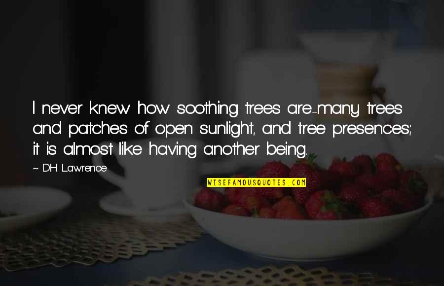 I Like My Nature Quotes By D.H. Lawrence: I never knew how soothing trees are-many trees