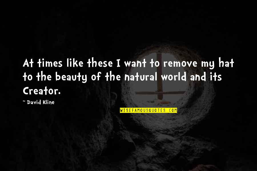 I Like My Nature Quotes By David Kline: At times like these I want to remove